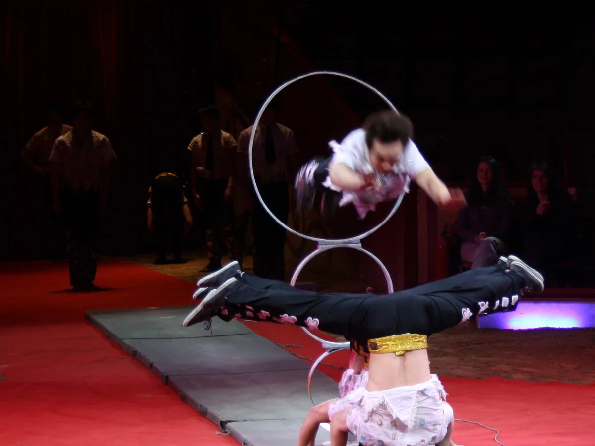 An acrobat performing a diving trick through a stacked ring apparatus